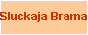 Sluckaja Brama: Belarusian Economy, Law and News on the Internet