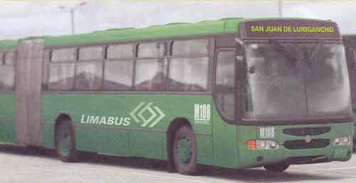 Limabus