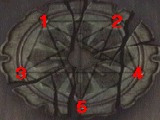 Fatal Frame