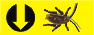 {short description of image}