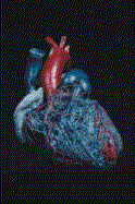 {short description of image}