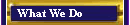 link to what we do page