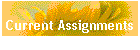 Current Assignments