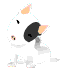 dog2gif