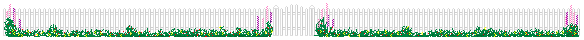 picket fence