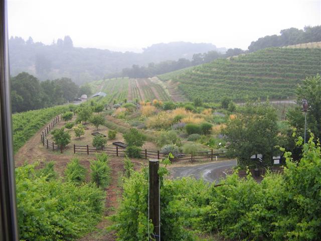 Click photo for Winery info