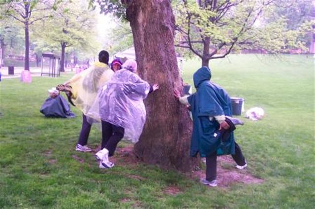 Stretching against the tree