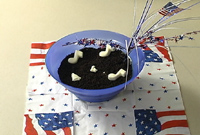 Dirt Pie