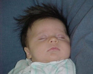 Sc2_Juju-BigHair.jpg (38744 bytes)