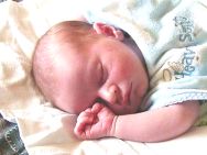 sc2-Essie-ashtonsleeping.jpg (6588 bytes)