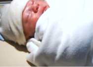 sc2-Hspagna_babyjack.JPG (2747 bytes)