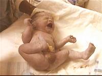 sc2-Iherrera-BIRTH-Image8.jpg (5508 bytes)