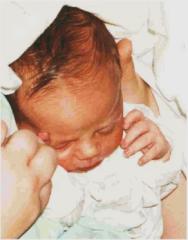 sc2-Shari-1-day-old.jpg (7354 bytes)