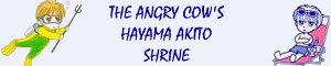 It's not really a Akito shirne, but close enough.