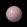 31.gif (700 bytes)