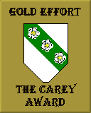 The CareyAward for Outstanding Effort!