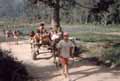 Viv�ncia Rural