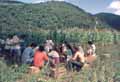 Mutir�o