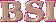 Brainy Softworks Inc. 2000�