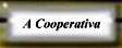 Coopertativa