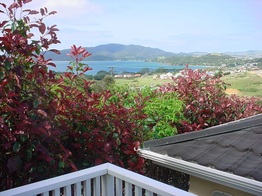 View from the porch