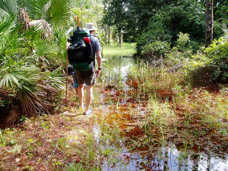 Water Walking