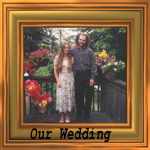 Tom and Debi's Wedding