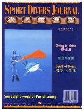 Have a look to 20 pages of Portfolio about Lecocq'sDiving paintings!