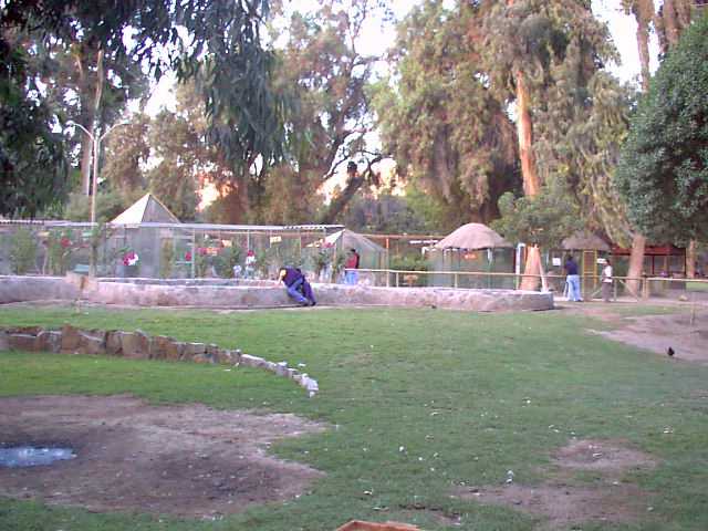 Parque el Pretil