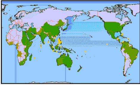 Destructive fishing activity
