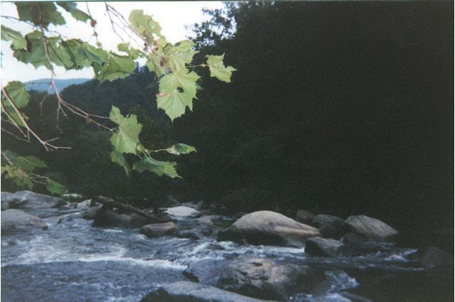 Where I threw my watch in the river