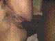 black4.jpg