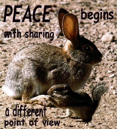Peace photo