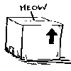 From a picture O found on the net XD&nbsp; The rest of it wasn't that funny, it was on some post office's website XP&nbsp; I think they were saying something along the lines of "Don't put animals in a cardboard box for shipping." XP