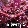 I don't know what was wrong with my brain when I made this, but I hope someone out there likes it o.o&nbsp; It's a lobster, btw...