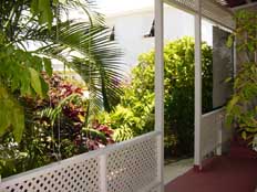 garden view