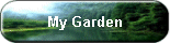 My Garden