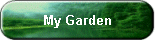 My Garden