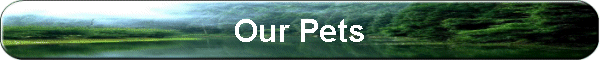 Our Pets