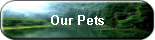 Our Pets