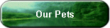Our Pets