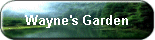 Wayne's Garden