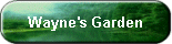 Wayne's Garden