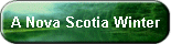 A Nova Scotia Winter