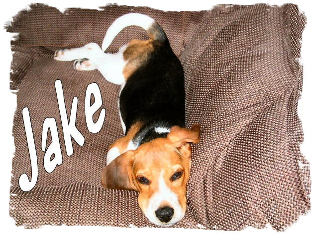 Jake