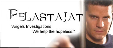Angels Investigations
We help the hopeless
