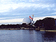 Click picture for larger view.