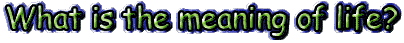 What is the meaning of life?