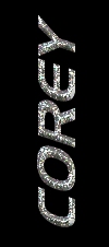 corey_vert.jpg (11230 bytes)
