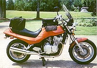 tn_suz10.jpg (43929 bytes)